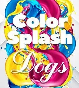 Buy Color Splash: Dogs Steam CD Key