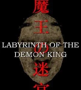 Buy Labyrinth Of The Demon King Steam Altergift