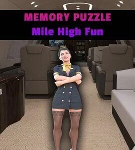 Buy Memory Puzzle - Mile High Fun Steam CD Key