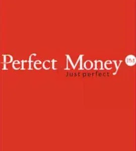Buy Perfect Money Gift Card 210 USD by Rewarble CD Key