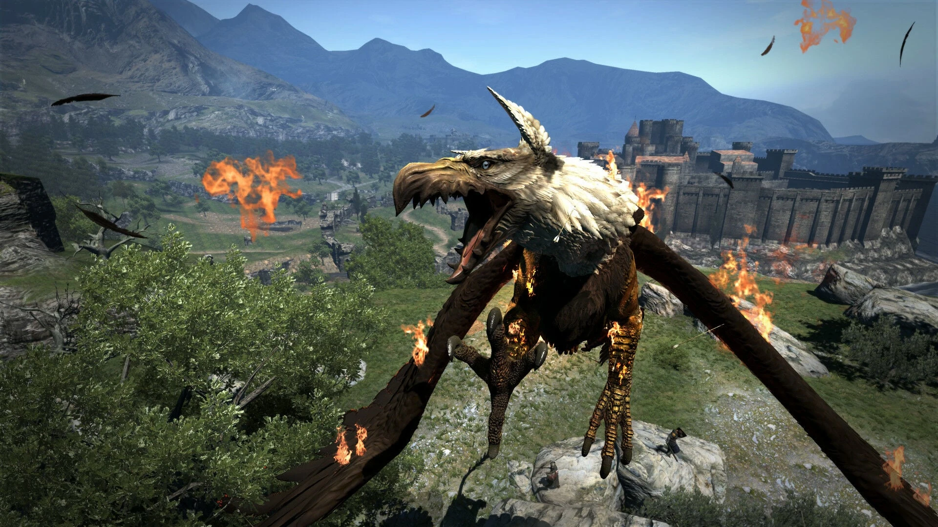 Buy Dragon's Dogma: Dark Arisen Steam CD Key - Image 7