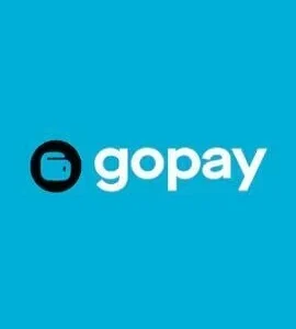 Buy GoPay Voucher 300000 IDR Indonesia GoPay CD Key