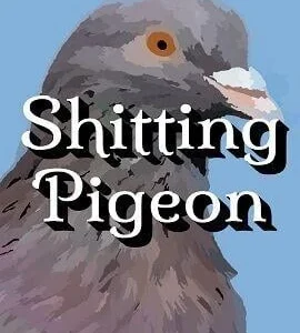 Buy Shitting Pigeon Steam CD Key