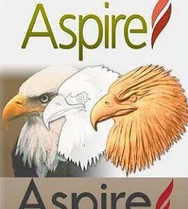 Buy Vectric Aspire 10.5 2 PCs CD Key