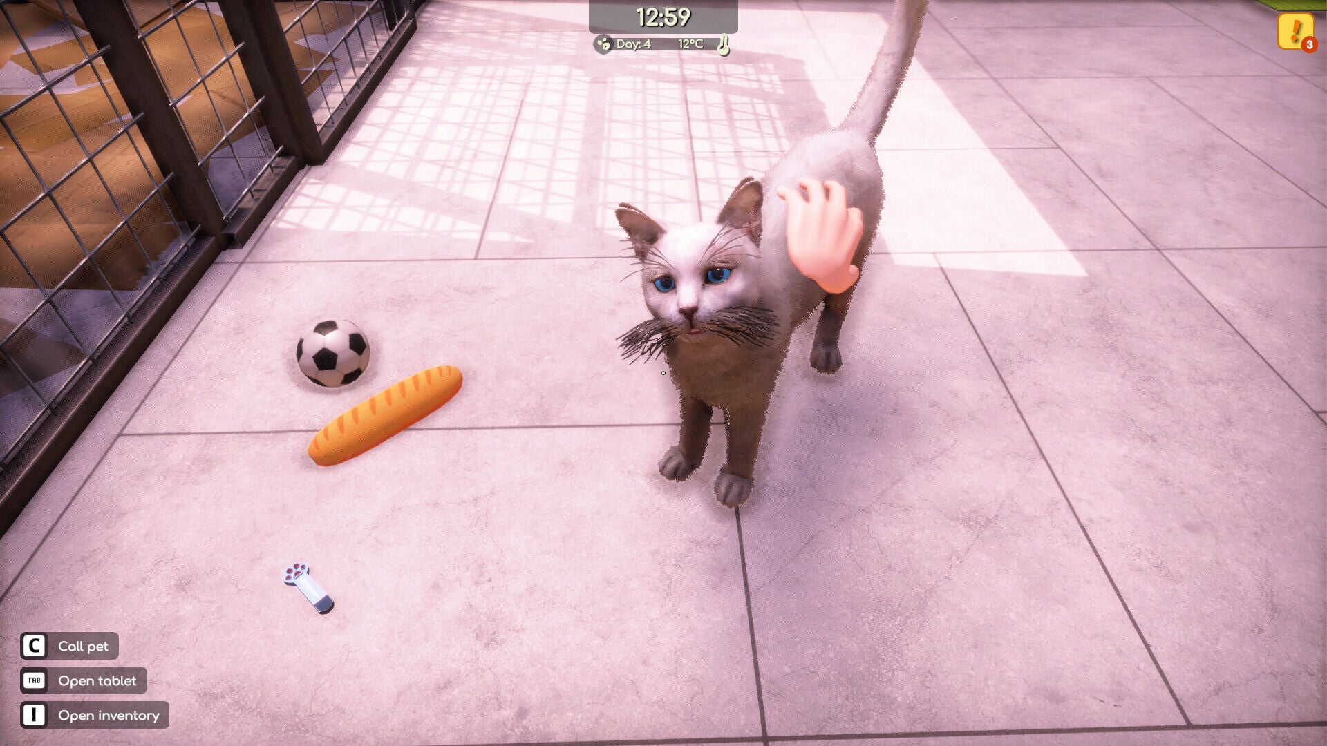 Buy Animal Shelter 2 Steam Account - Image 4