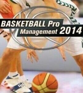 Buy Basketball Pro Management 2014 Steam CD Key