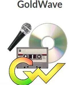 Buy GoldWave CD Key