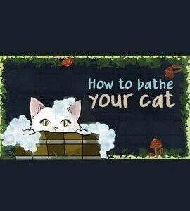Buy How To Bathe Your Cat Steam CD Key