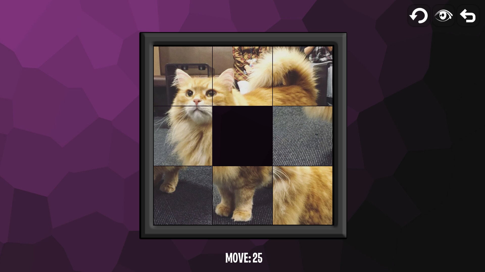Buy Intelligence: Cats Steam CD Key - Image 3