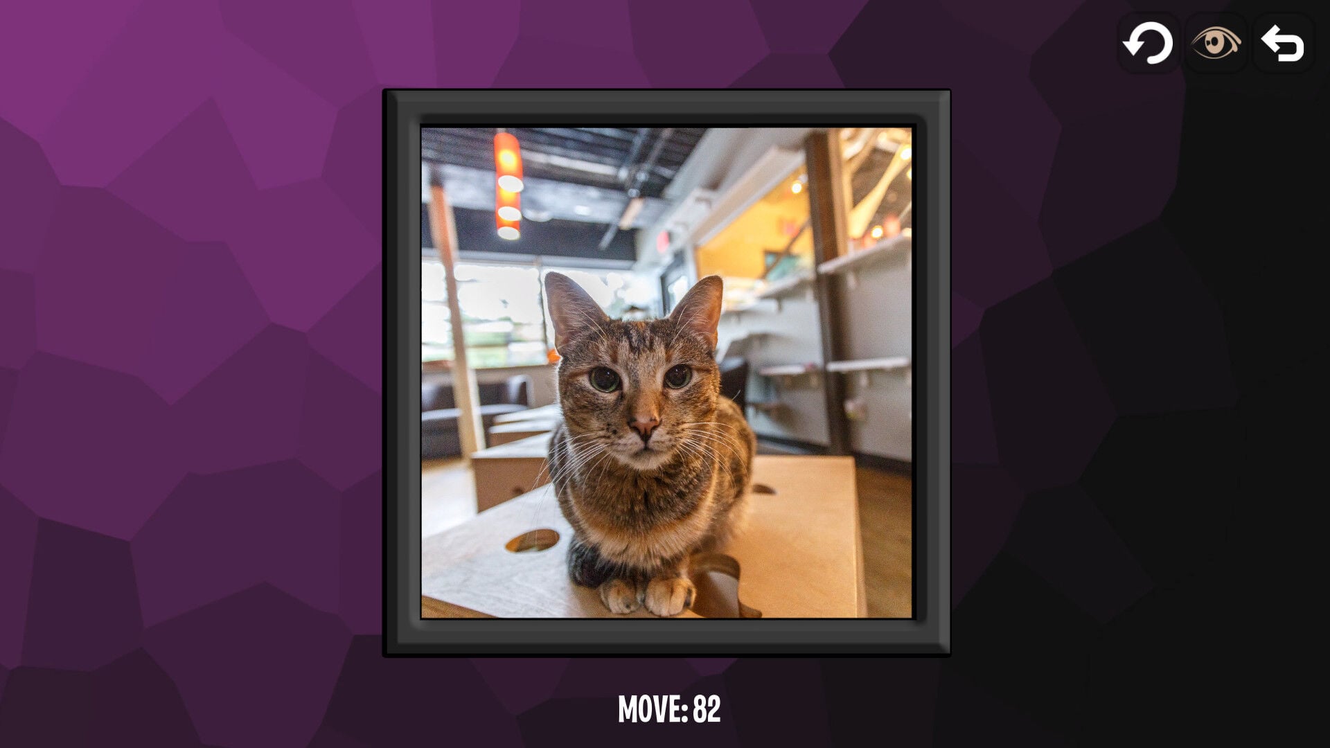 Buy Intelligence: Cats Steam CD Key - Image 4