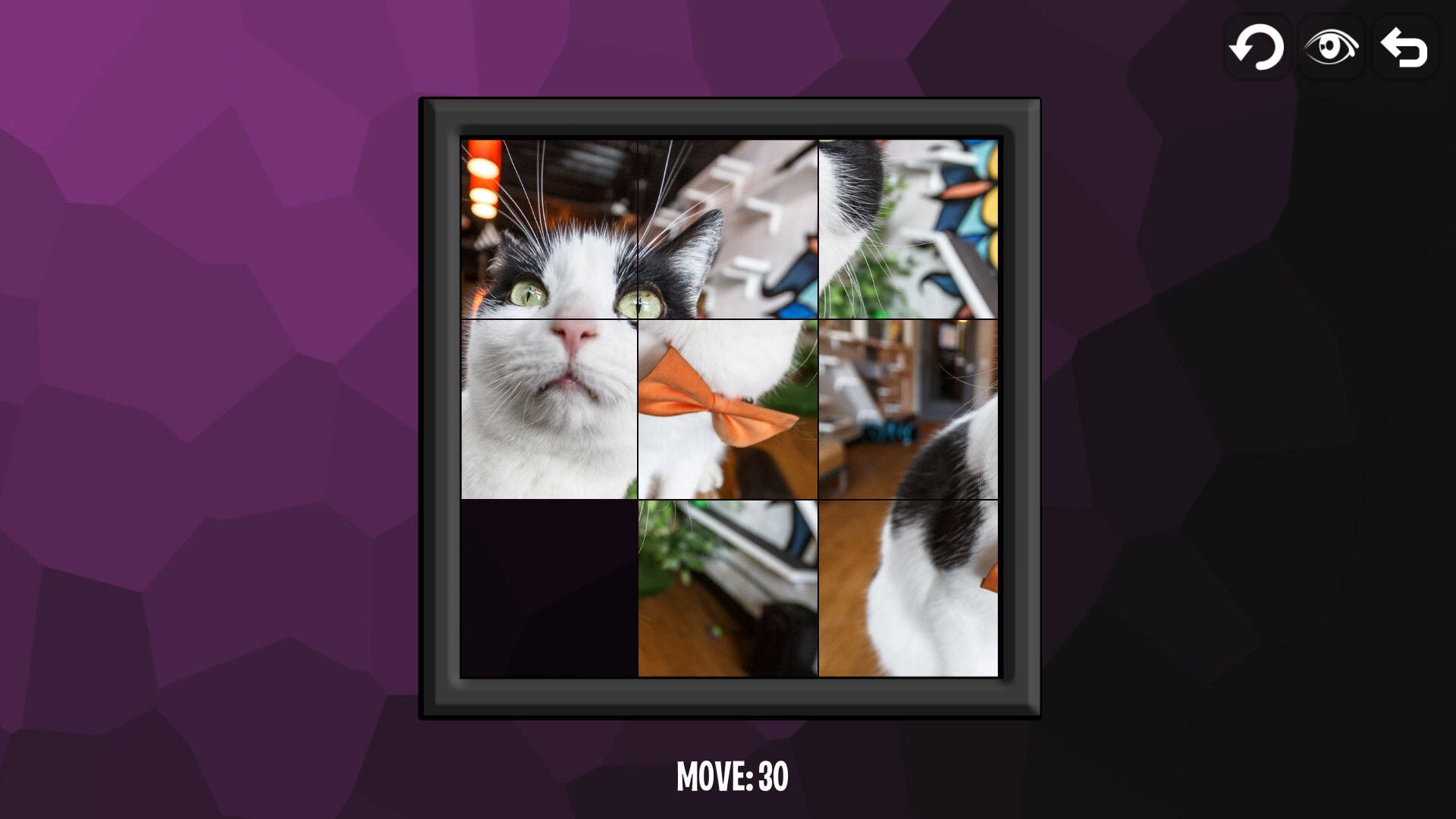 Buy Intelligence: Cats Steam CD Key - Image 5