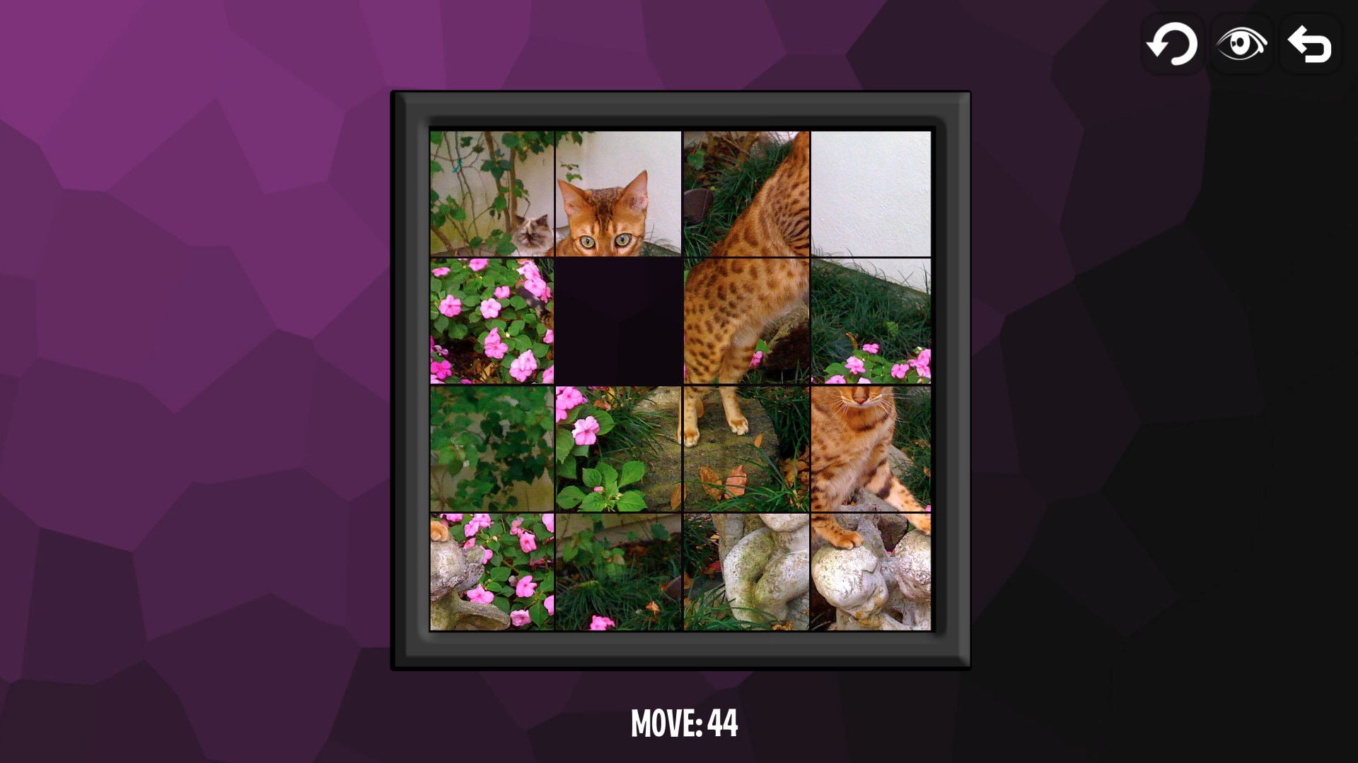Buy Intelligence: Cats Steam CD Key - Image 6
