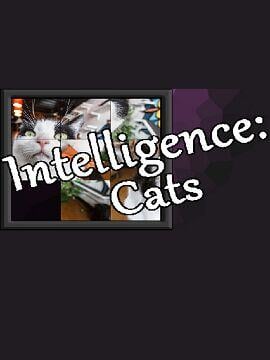 Buy Intelligence: Cats Steam CD Key