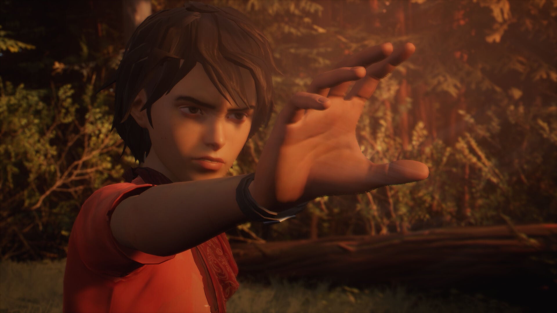 Buy Life is Strange 2 - Episode 1 Steam CD Key - Image 5