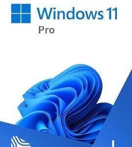 Buy Microsoft Windows 11 Professional Online Activation Microsoft CD Key