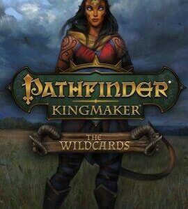 Buy Pathfinder: Kingmaker - The Wildcards Steam CD Key