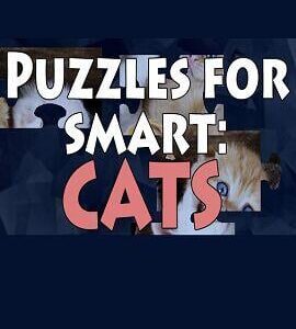 Buy Puzzles for smart: Cats Steam CD Key