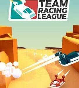 Buy Team Racing League Steam CD Key