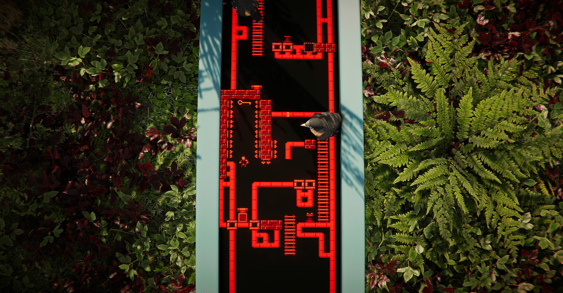 Buy The Forest Cathedral Steam CD Key - Image 3