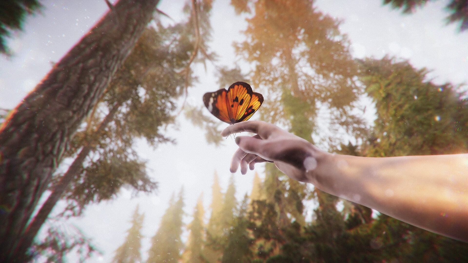 Buy The Forest Cathedral Steam CD Key - Image 7