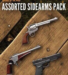 Buy theHunter: Call of the Wild - Assorted Sidearms Pack Steam CD Key