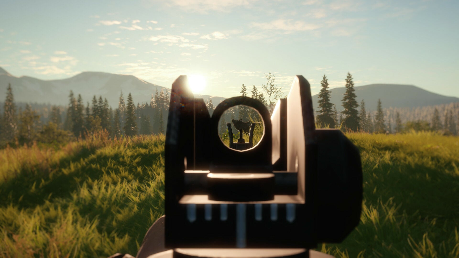 Buy theHunter: Call of the Wild - Modern Rifle Pack Steam CD Key - Image 6