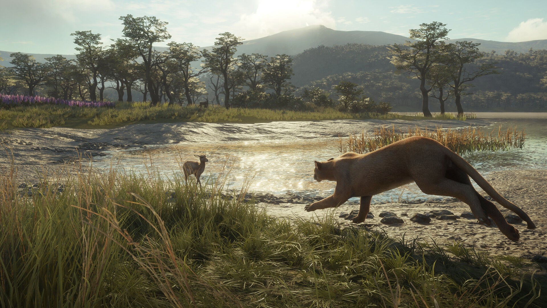Buy theHunter: Call of the Wild - Parque Fernando Steam CD Key - Image 3