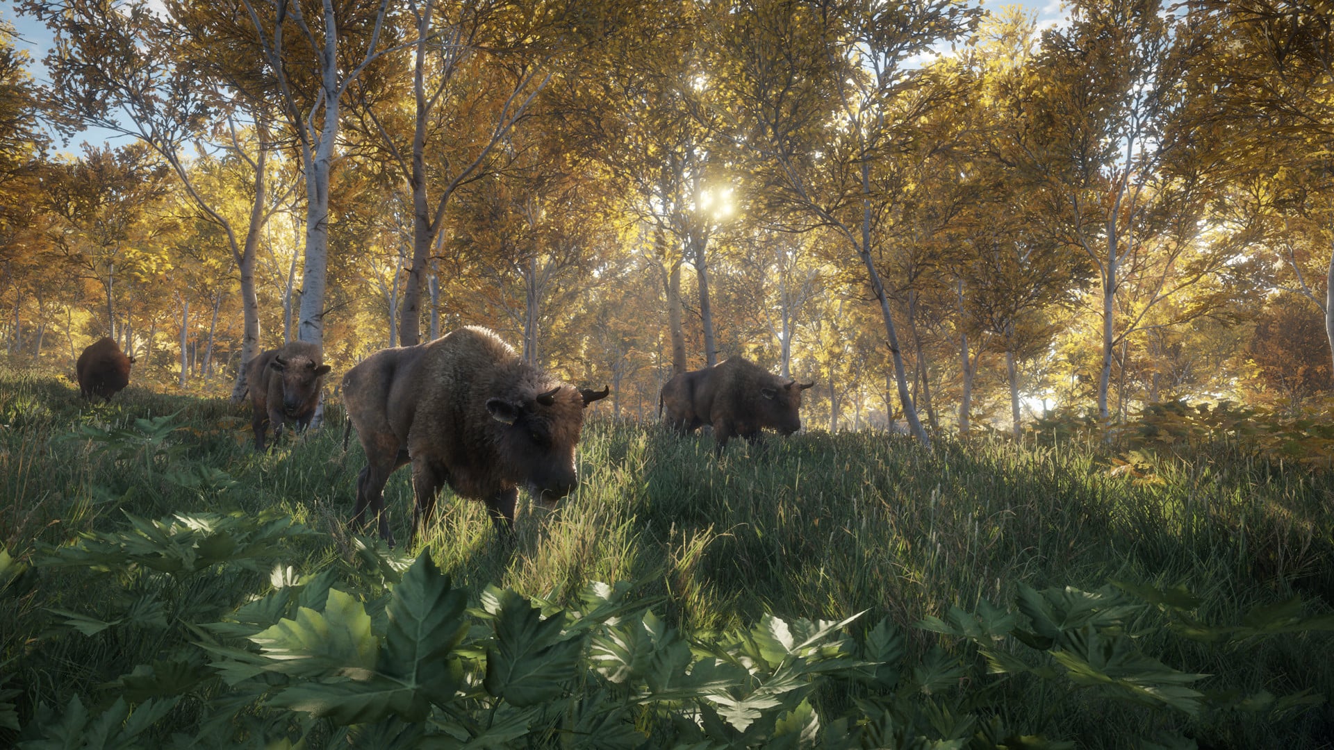 Buy theHunter: Call of the Wild Standard Edition Steam Account - Image 7