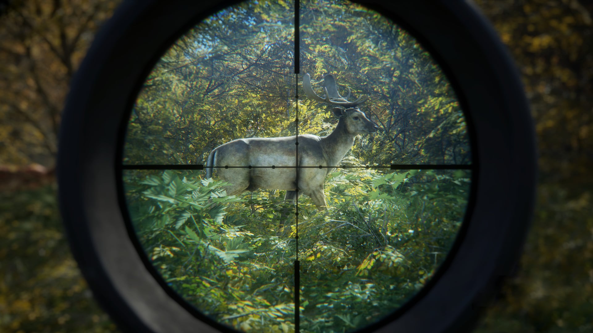Buy theHunter: Call of the Wild Standard Edition Steam Account - Image 9