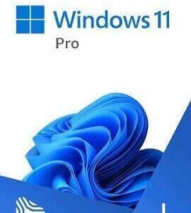 Buy Windows 11 Professional + MS Office Professional Plus 2021 Microsoft CD Key