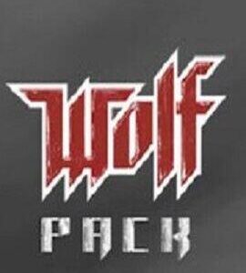 Buy Wolfenstein Wolf Pack Steam CD Key